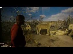 A VISIT TO THE BOTSWANA NATIONAL MUSEUM