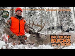 Bow Hunting Mature Whitetail Bucks in the Big Woods of Saskatchewan | Canada in the Rough