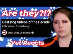 Vet Reacts to 'Best' Dog Videos of the Decade!