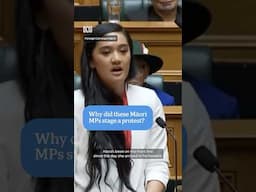 New Zealand MP warns Treaty Principles Bill is going to 'cause riots' | ABC News