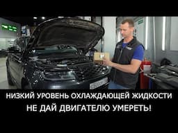 Land Rover ТЕЧЬ охлаждающей ЖИДКОСТИ. Не дай ДВИГАТЕЛЮ УМЕРЕТЬ от перегрева. Замена термостата.