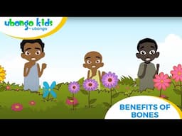 Sing along | Bones have many benefits in our body | Ubongo Kids #singalong #kidseducation #anatomy