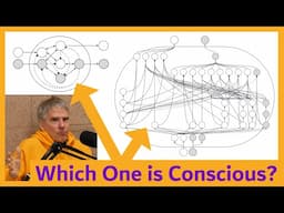 Which System is Conscious? IIT vs. Functionalist Theories with Christof Koch [Interview Clip 3]