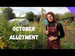 Exploring October Allotment Gardening In The Uk For Beginners!