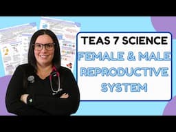 2024 ATI TEAS 7 Science Anatomy and Physiology Reproductive System with Nurse Cheung