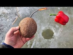 Coconut TNT in the ice hole | Explode Ice with MEGA Petard