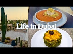 Life in Dubai Cafe Hopping - Keturah Reserve 🫒 | Cactus Park 🌵 | Artisan Bakery 🥯