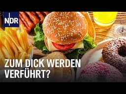 Dickes Deutschland - Wer ist schuld? | Doku | NDR Story