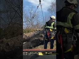 Loading logs with a crane #shorts #treework