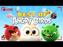 🔴 LIVE: Best of Angry Birds - Ultimate Compilation!