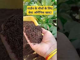 गार्डन के पौधों के लिए बेस्ट ऑर्गेनिक खाद! Vermicompost fertilizer for plants #terracegardning #khad