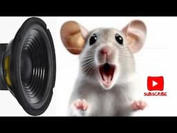 Mouse Repellent - Sound or ultrasonic wave that displaces rats and drives them away