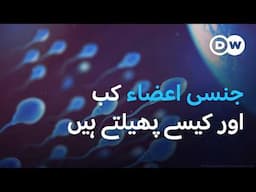 انسانی جنسی اعضاء، نر اور مادہ میں فرق | DW Urdu |