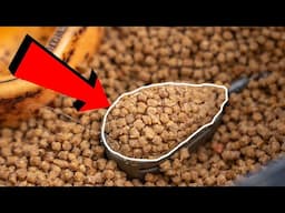 How To Prepare Micro Pellets (for the HYBRID feeder)