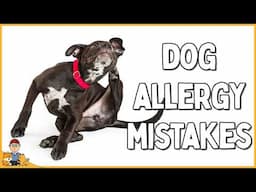 7 reasons your allergic dog's treatment is DOOMED TO FAILURE