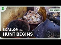 Skipper's Gamble for Scallop Gold - The Catch - Fishing Show