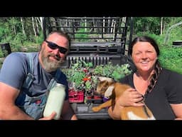 Alaskan Homesteaders do ALL the FARM THINGS with a LAUGH! Farm Snacks, Gardening, Chores, Milking