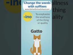 Change the words with the suffix -INO (GATTO - GATTINO) 🐱 #learnitalian