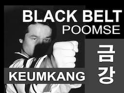 Taekwondo Black Belt Poomse #2 - Poomsae Keumkang How-To Video