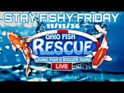 Stay Fishy Friday livestream  11/15/24