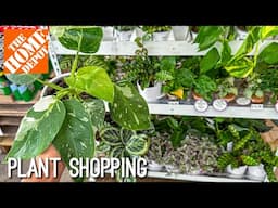 Proven Winners NEW Houseplant! 😍✨🪴 Plant Shopping at The Home Depot & Plant Updates