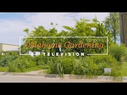 Native Plants on the Best of Oklahoma Gardening November 9, 2024