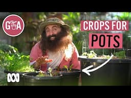 Vegie Crops That Thrive in Pots | Growing Fruit and Veggies | Gardening Australia