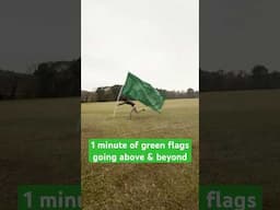 1 minute of wholesome green flags