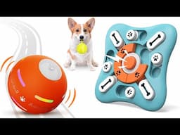 5 FUNNY Gadgets and Accessories Every Dog Owner MUST HAVE | JoysPets