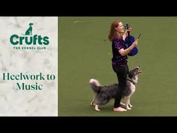 Heelwork To Music - Freestyle International Competition Part 2 | Crufts 2024