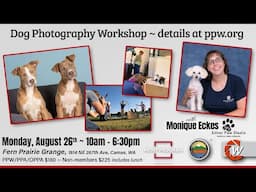 Dog Photography Workshop LIVE IN-PERSON!