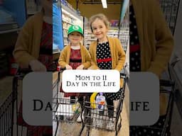 Life As A Mom To 11: Grocery Haul And Holiday Shopping!