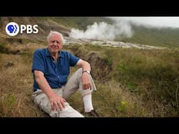 Attenborough's Life Journey | PBS NATURE Documentary