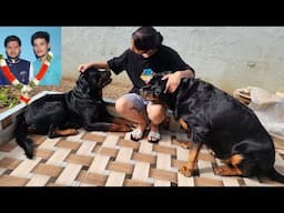 Dog missing his owner 🥺|| emotional dog || #rajveer #emotional #dog #rottweiler #therott ||