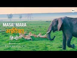 Masai Mara - हिन्दी डॉक्यूमेंट्री | African Wildlife stories documentary in Hindi