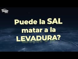 Puede matar la Sal a la Levadura? Descubre la Verdad para tus Masas de Pan, roscón y Pizza