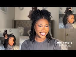 Easy Mini Twists on Short Natural Hair With Added Hair| @Hot-Braids