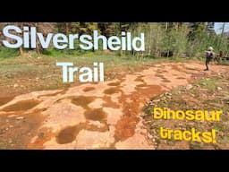 Hiking Silversheild Trail to West Gold Hill dinosaur tracks Ouray, Colorado