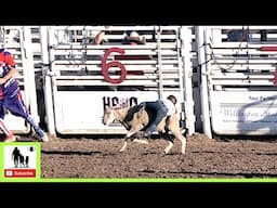 Mutton Bustin' - 138th Annual Canadian Rodeo