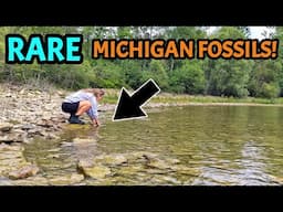 This Michigan Shoreline is LOADED with the Remains of a 390 MILLION Year Old Tropical Ocean!