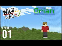 Wild Life: Episode 1 - ANYTHING COULD HAPPEN!