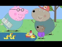 Heo Peppa | Ao thuyền | Phim Hoạt Hình Cho Trẻ Em