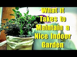 HYDROPONIC GARDEN MAINTENANCE