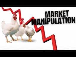 Why you are no longer making profits: A call to action for Nigerian broiler poultry farmers