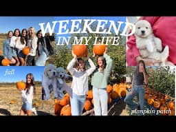 FALL WEEKEND IN MY LIFE | pumpkin patch, haunted houses, & friend hangouts