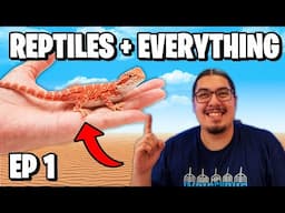 REPTILES + EVERYTHING LIVESTREAM!