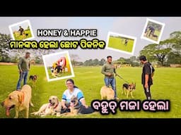 ଆଜି ବହୁତ୍ ମଜାମସ୍ତି ହେଲା.. / Local farmers @rupapin2khushiexpress443 viewers watch this video