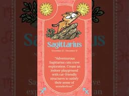 Sagittarius Season!