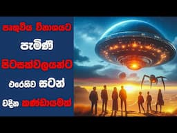 "Occupation" සිංහල Movie Review | Ending Explained Sinhala | Sinhala Movie Review