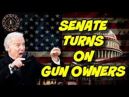 Chance At "Pro 2nd Amendment" Senate Is Over